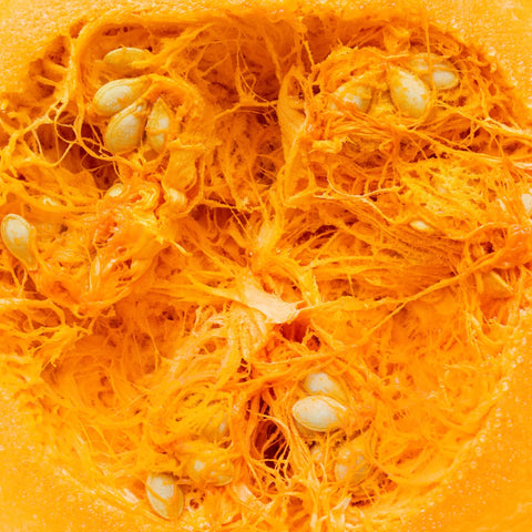 Extrait de pépins de courge
