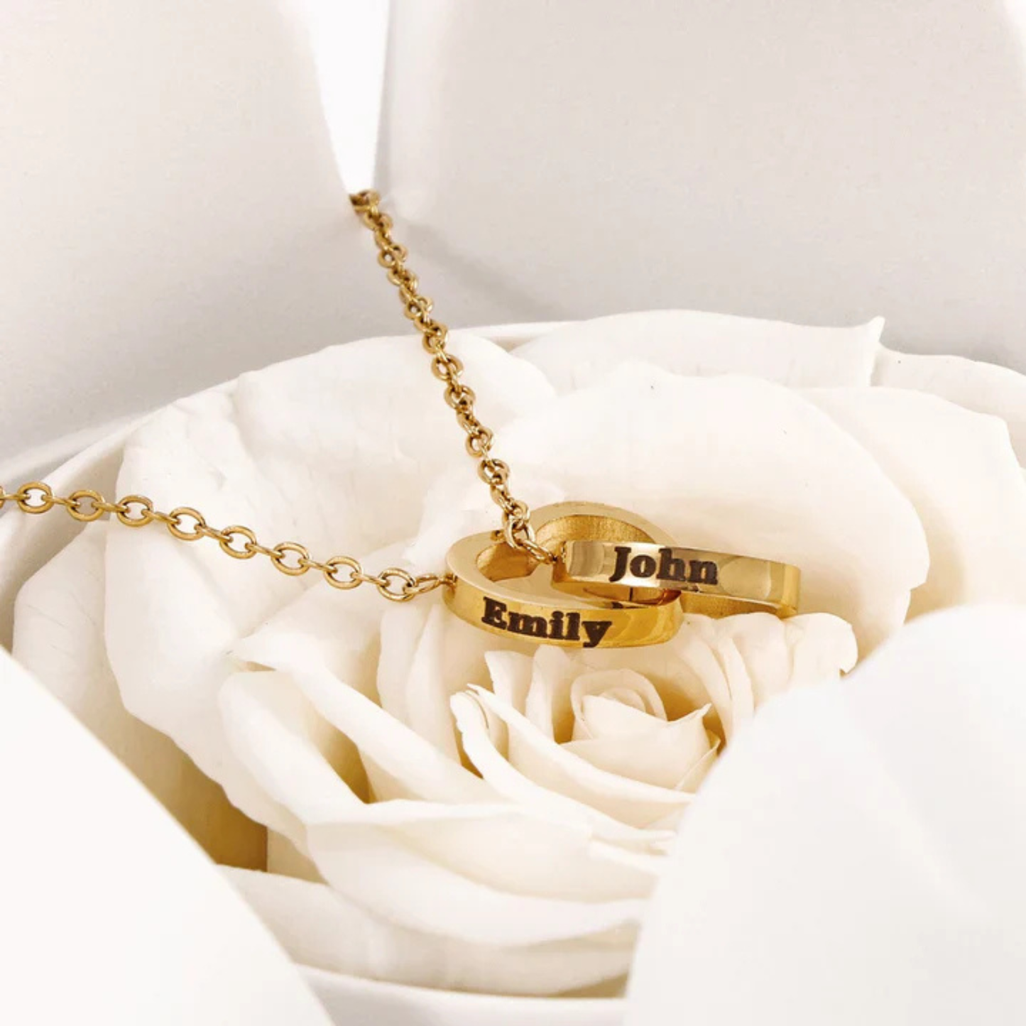 Ours Éternel & Collier Personnalisé